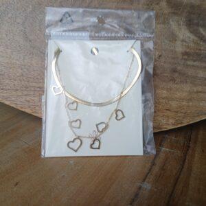 Hartjes ketting dubbel stainless steel goud